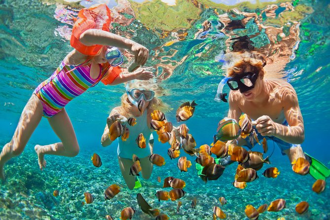Private Tour: Heaven Gate Temple, Tirta Gangga and Blue Lagoon Snorkeling - Blue Lagoon and Tanjung Jepun snorkeling: two stops, different vibes