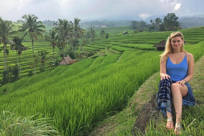 Private Tour Highlight of Bedugul and Jatiluwih Rice Terrace - The Drive Includes Bedugul Highland Flavor (Coffee Plantation Time)