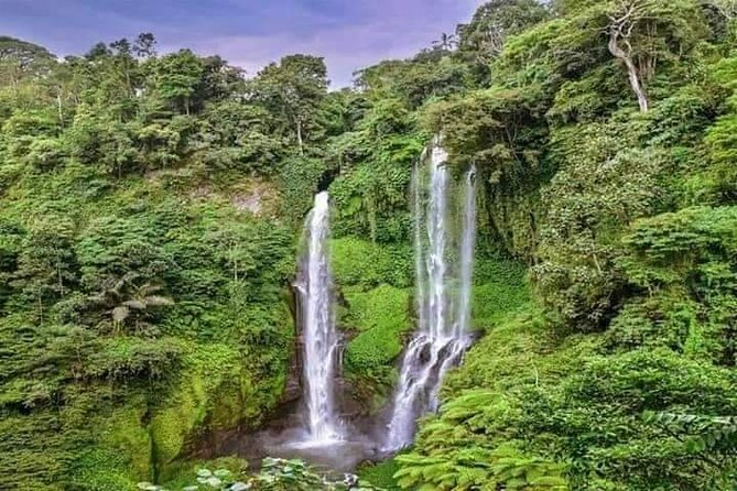 Private Tour Sekumpul Waterfall Combination Beratan Temple & Twin Lakes - Sekumpul Waterfall: the stairs test (and the payoff)