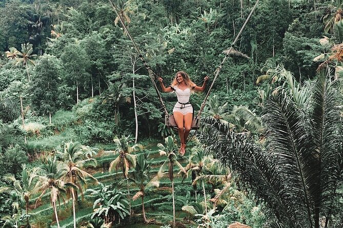 Private Tour to Sumampan Waterfall, Monkey forest, Rice terraces and Swing - A Ubud day that stays off the beach: from waterfall to art