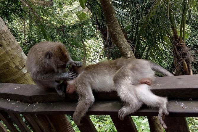 Private Tour to Sumampan Waterfall, Monkey forest, Rice terraces and Swing - Puseh Batuan Temple: fast gate photos and real temple detail