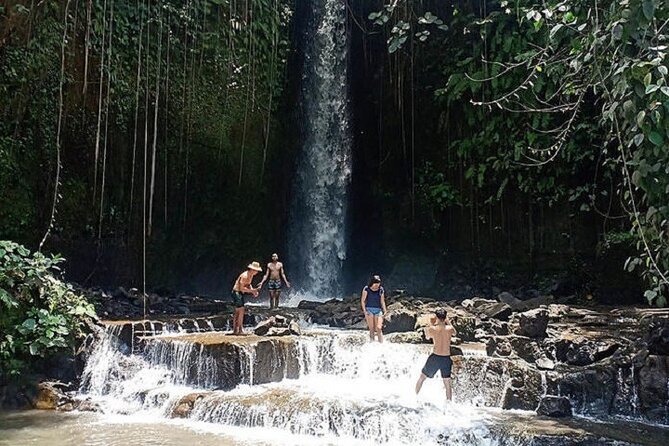 Private Tour to Sumampan Waterfall, Monkey forest, Rice terraces and Swing - d’Alas Warung restaurant stop: lunch without the stress