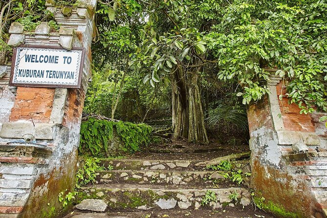Private Tour to Trunyan Village "Skull Island of Bali" - Price and value: what $109 buys you (and what it doesn’t)