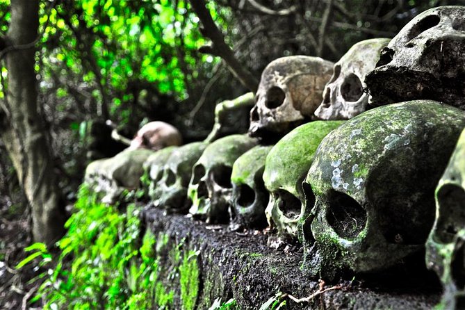 Private Tour to Trunyan Village "Skull Island of Bali" - Stop 1: Trunyan Open Cemetery and how your guide helps you act right