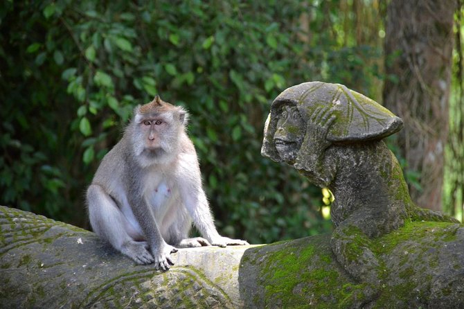 Private Tour: Ubud Day Tour with Traditional Offering Lesson - Lunch included: why that matters more than you think