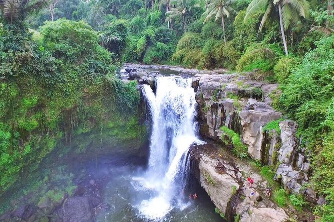 Private Ubud and Volcano Day Trip - Private Pickup and a 9-Hour Route Through Ubud and Kintamani