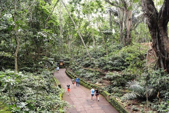 Private Ubud Day Tour - Ubud in one day: why this route works