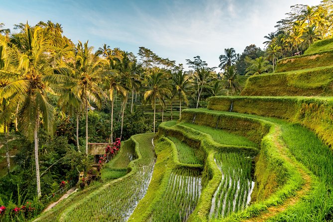 Private Ubud Day Tour - Puseh Batuan Temple: the architectural detail that earns the stop