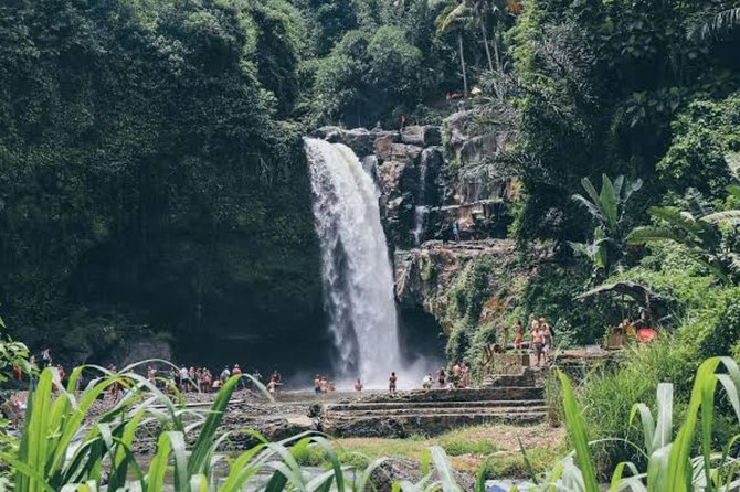 Private Ubud Day Tour - Price and logistics: what $55 covers, and the risk you can’t ignore