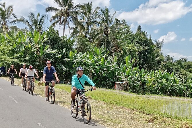 Private Ubud Downhill Cycling with Volcano, Rice Paddies & Meal - Why This Day Works: Easy Downhill, Big Views, Real Rural Bali