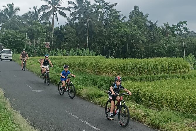 Private Ubud Downhill Cycling with Volcano, Rice Paddies & Meal - The Plantation Stop: Tropical Fruit and How Plants Get Used