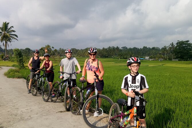 Private Ubud Downhill Cycling with Volcano, Rice Paddies & Meal - Pura Dalem Pukuh Start Point: Bike Choice, Comfort, and Safety Brief