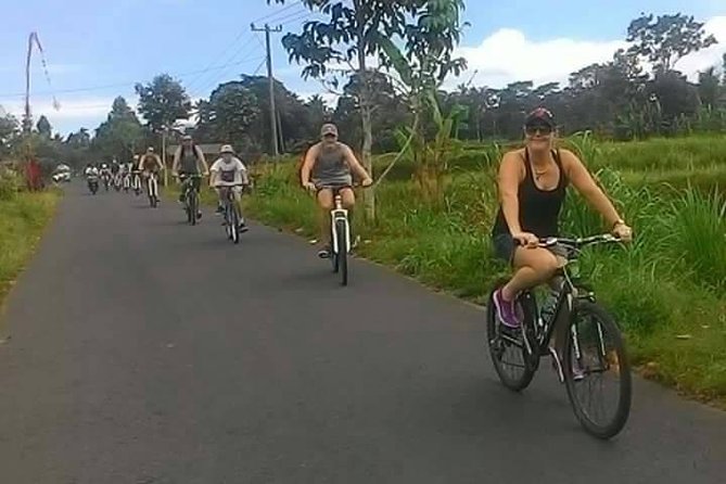 Private Ubud Downhill Cycling with Volcano, Rice Paddies & Meal - Lunch Back in Ubud: Balinese Food Plus Vegan and Vegetarian Options