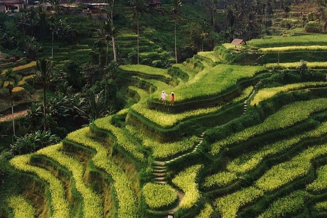 Private Ubud Tour - Key things to know before you go
