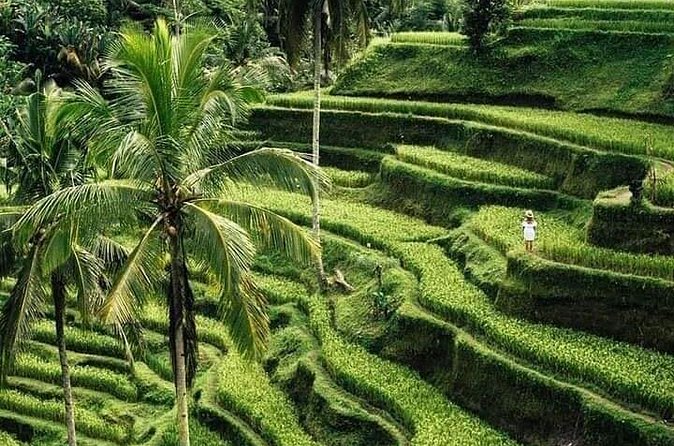 Private Ubud Tour - Celuk Village: silver and gold craftsmanship in a quick stop