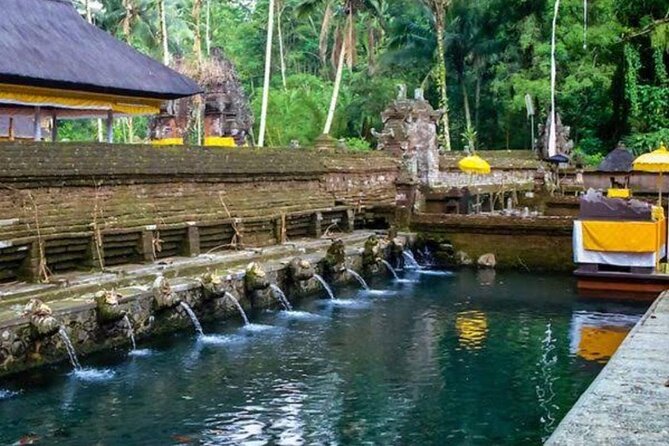 Private Ubud Tour - Tirta Empul Temple: sacred water rituals and respectful rules