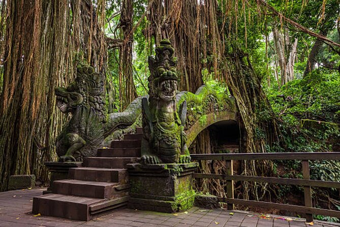 Private Ubud Tour: Monkey Forest, Waterfall & Rice Terrace - Price and logistics: why $32 can feel like a bargain