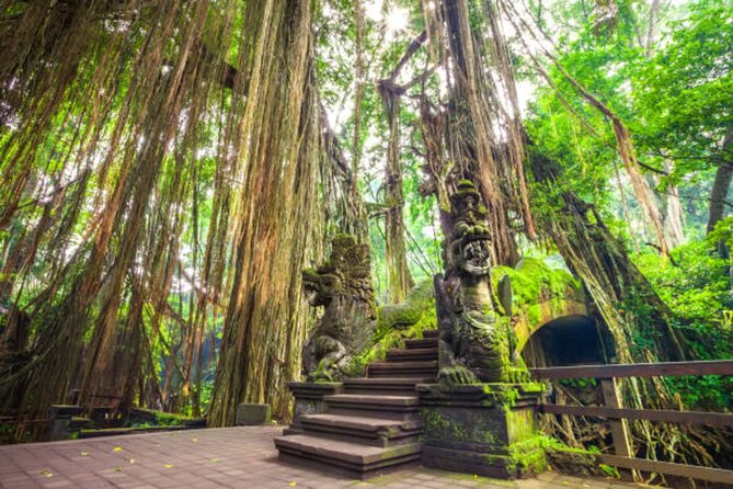 Private Ubud Tour: Monkey Forest, Waterfall & Rice Terrace - What the guide experience adds (and why it matters)
