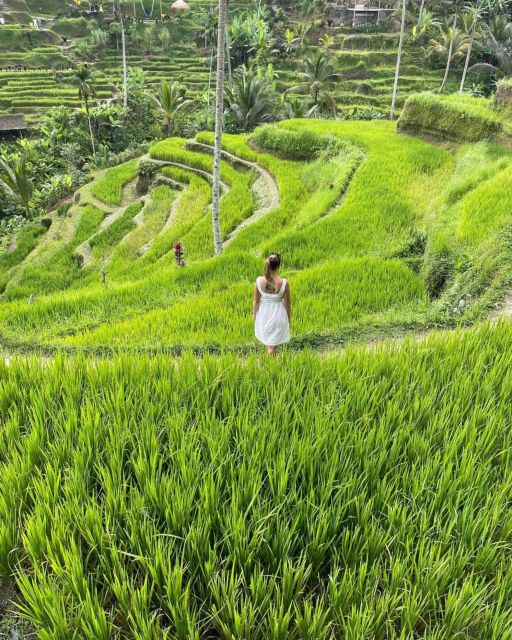 Private ubud tour Rice teracce, temple & Secret waterfall - Key things I liked most