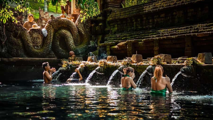 Private Ubud Tour: Sacred Monkeys, Coffee, Temple, Waterfall - Key things to know before you go