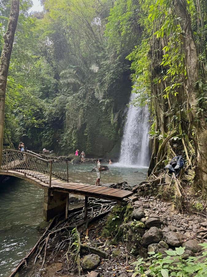 Private Ubud Tour: Sacred Monkeys, Coffee, Temple, Waterfall - Sacred Monkey Forest: friendly Macaca fascicularis and quick rules