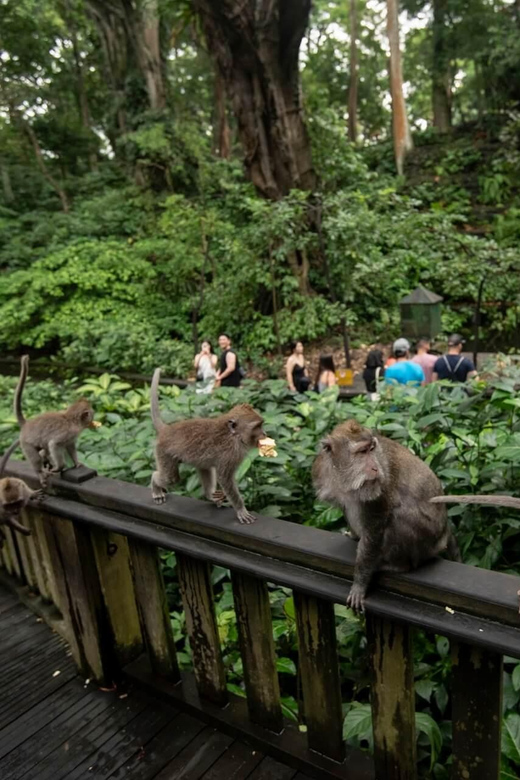 Private Ubud Tour: Sacred Monkeys, Coffee, Temple, Waterfall - What to bring so the day stays comfortable