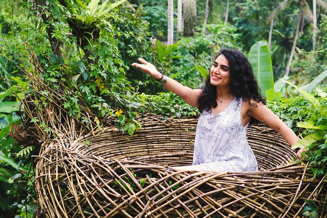 Private Ubud Tour: Waterfall, Rice Terrace & Monkey Forest - Tegalalang Rice Terrace: big views, quick decision-making