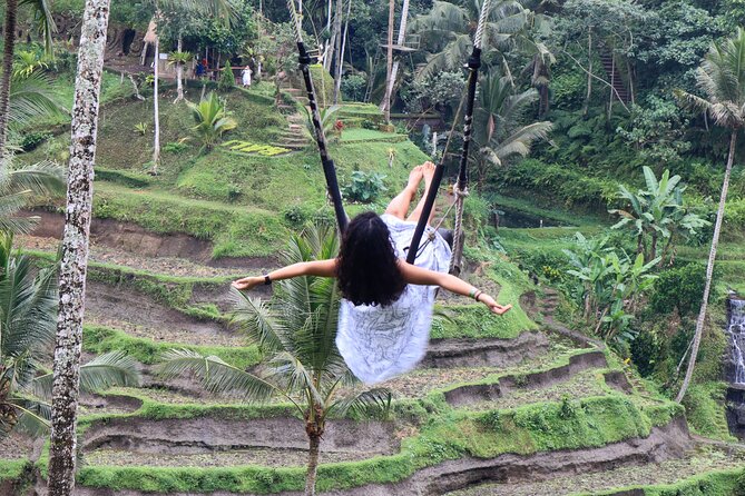 Private Ubud Tour: Waterfall, Rice Terrace & Monkey Forest - Price and what you’ll actually pay on the day