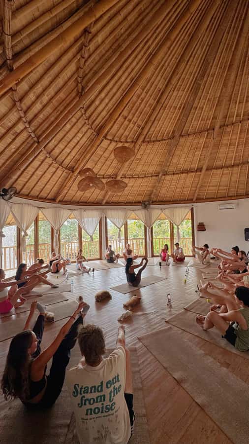 Puppy Yoga in Bali, Ubud & Uluwatu - Meet the Puppies: Cuddles, Playtime, and Photo Moments