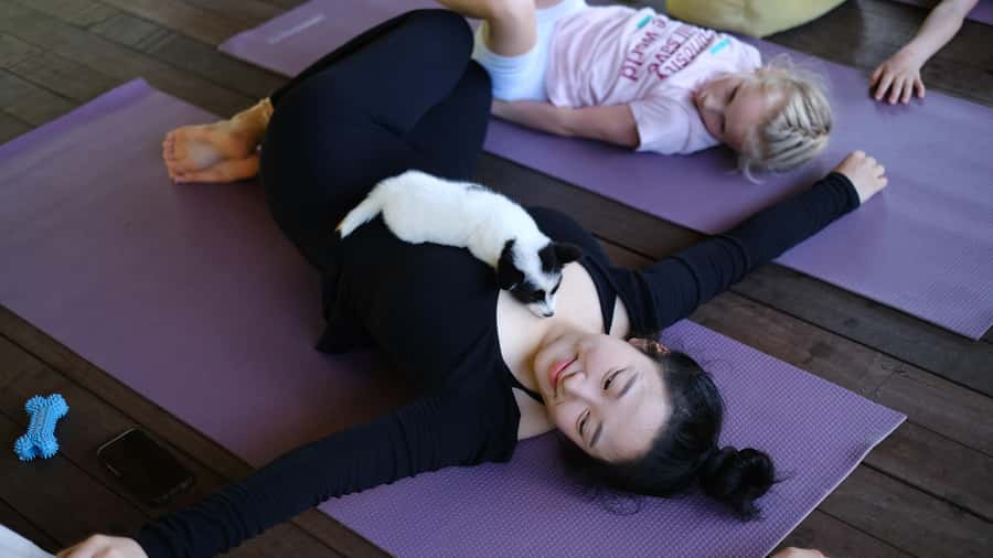 Puppy Yoga in Bali, Ubud & Uluwatu - Who Should Book This (and Who Should Skip It)