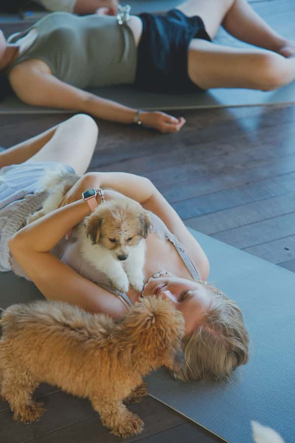 Puppy Yoga in Bali, Ubud & Uluwatu - Should You Book Puppy Yoga in Bali?