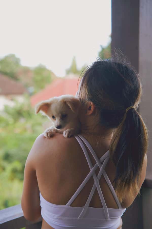 Puppy Yoga in Bali, Ubud & Uluwatu - Gentle Hatha Yoga for Beginners (and Kids 6+) in Ubud & Uluwatu