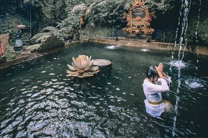 Purification Ceremony, Kehen Temple and Goa Raja Waterfall Tour - Practical tips for a smooth purification day