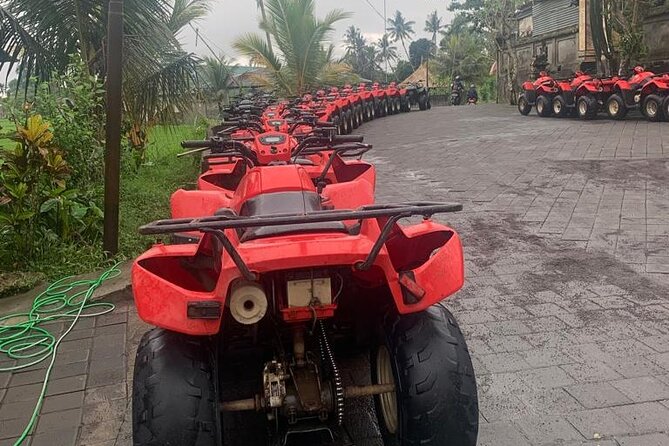 Quadbike Adventure with Tunnel and Waterfall Tour in Bali - Small Details That Matter: What to Bring and What to Expect