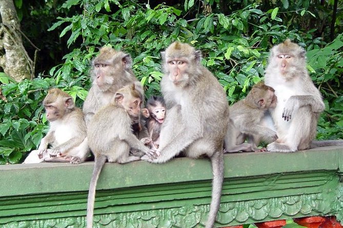 Royal Family Temple, Monkey Forest, and Tanah Lot Sunset Tour - Stop 3: Tanah Lot Temple at sunset—where the sea becomes part of the scene