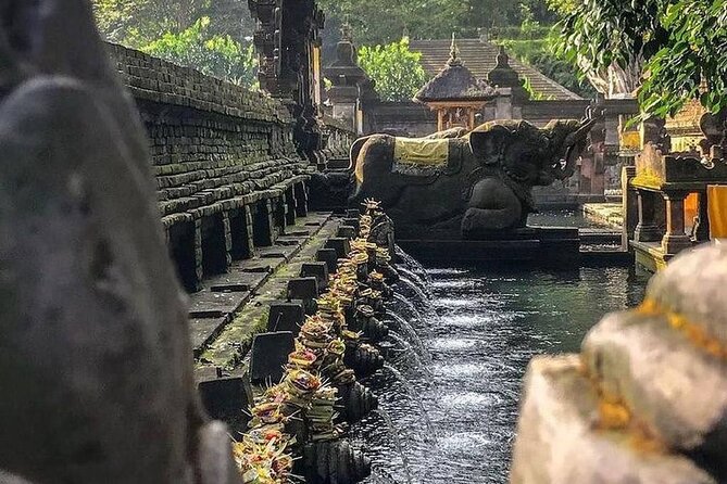 Sacred Spring Experience - Ubud Tour - A Tight 8–10 Hour Ubud Day That Stays in Motion