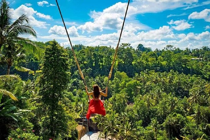 Sacred Spring Experience - Ubud Tour - Sacred Monkey Forest Sanctuary: A Guided Walk Among Almost 900 Macaques