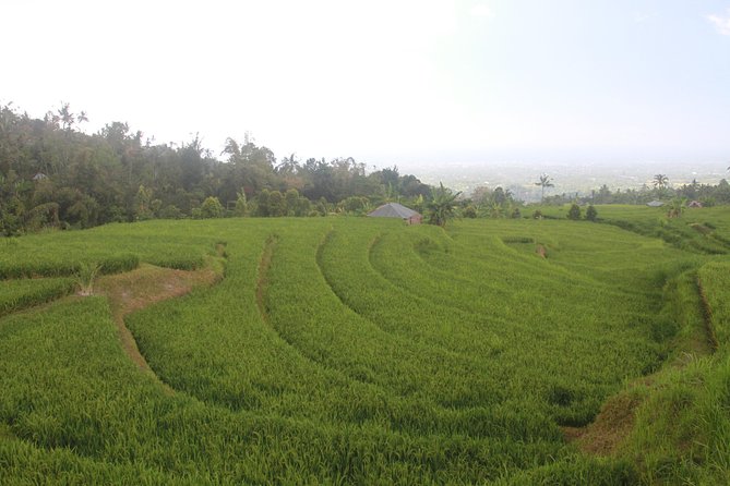 Sambangan Trekking, Sliding, Jumping in Scenic Waterfalls - From Ubud Pickup to 6:00am Canyon Energy
