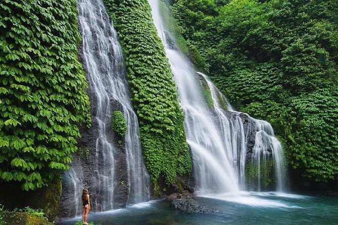 Shore Excursion Cruise Ship From Celukan Bawang Port - Banyumala Twin Waterfalls: cooling nature break without the full-day hike