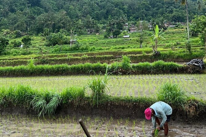Sidemen Highlights Day Tour - Sidemen in one day: countryside Bali that still moves at human speed