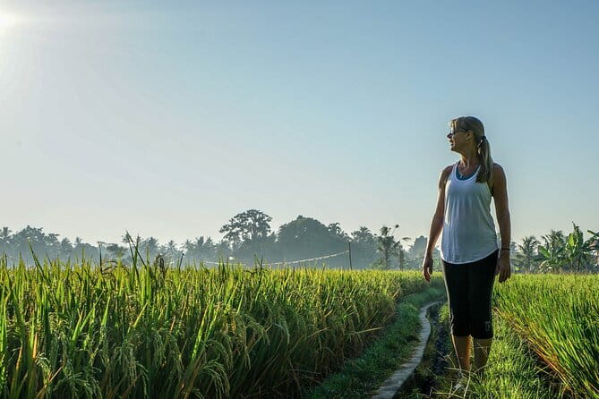 Sidemen Highlights Day Tour - Klungkung’s Kerta Gosa: a royal site tied to the Dutch era