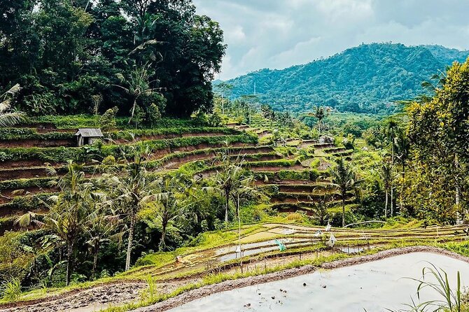 Sidemen Trekking: A Walk from a Different Perspective - Why Sidemen Feels Like a Different Side of Bali