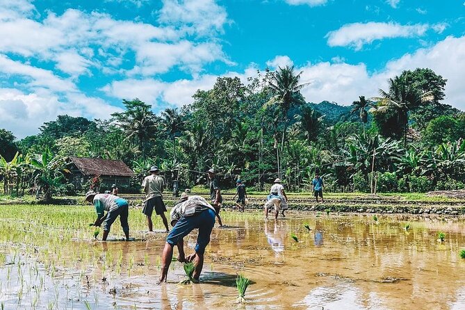 Sidemen Trekking: A Walk from a Different Perspective - Getting There and Planning the Rest of Your Day