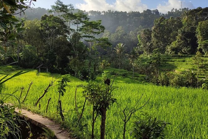 Sidemen Trekking: A Walk from a Different Perspective - Price and Value: Why This $13.75 Trek Feels Fair