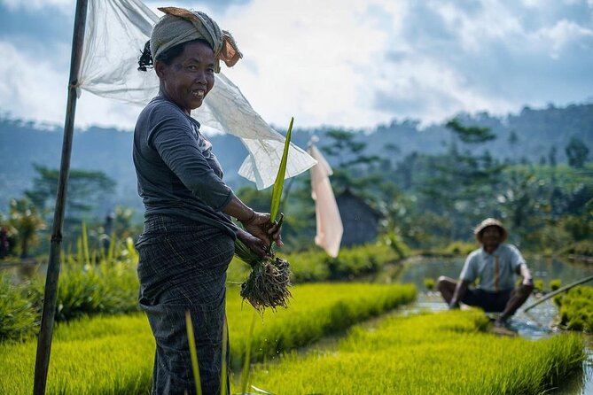 Sidemen Trekking: A Walk from a Different Perspective - Rice Fields, Mount Agung, and Why This Walk Matters
