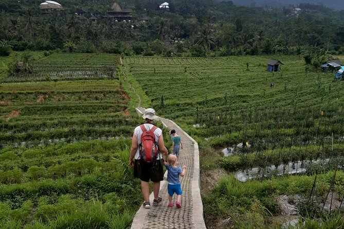 Sidemen Trekking Through Rice Terraces and Villages - Key highlights you’ll care about