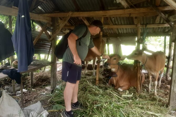 Sidemen Trekking Through Rice Terraces and Villages - Price and value: what $9.80 really buys