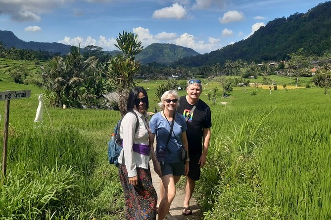 Sidemen Trekking Through Rice Terraces and Villages - When the rice isn’t “full green”: how to avoid the disappointment
