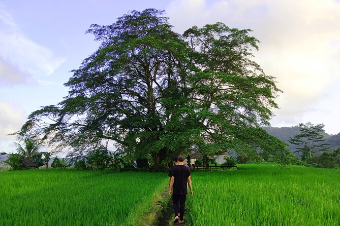 Sidemen Trekking with Cultural Encounters and Nature Views - Key Points Before You Go