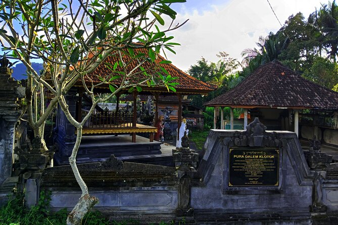 Sidemen Trekking with Cultural Encounters and Nature Views - Selisian Views: Mt. Agung Framed in Green
